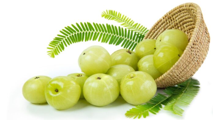 Amla Benefits: सिर्फ इतने आंवले से मिल सकता है पेट, बाल और त्वचा की हर समस्या का हल! जानिए रोज कितनी मात्रा है सही