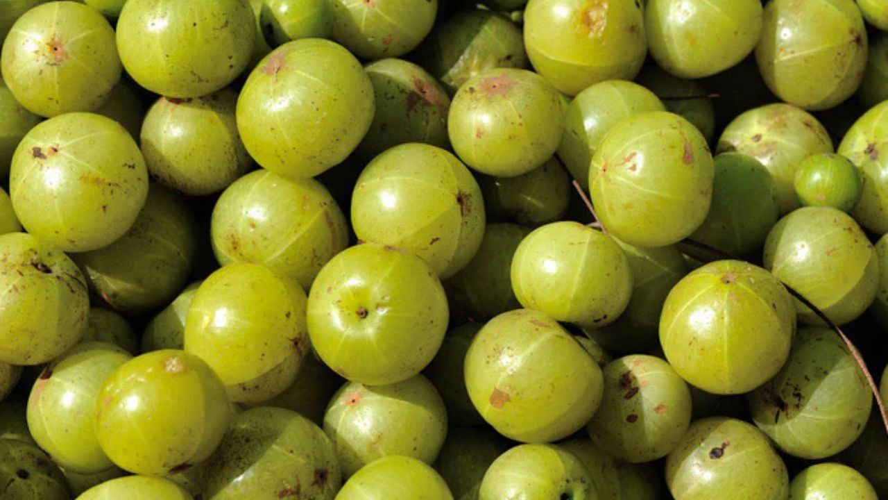 Amla Benefits: सिर्फ इतने आंवले से मिल सकता है पेट, बाल और त्वचा की हर समस्या का हल! जानिए रोज कितनी मात्रा है सही