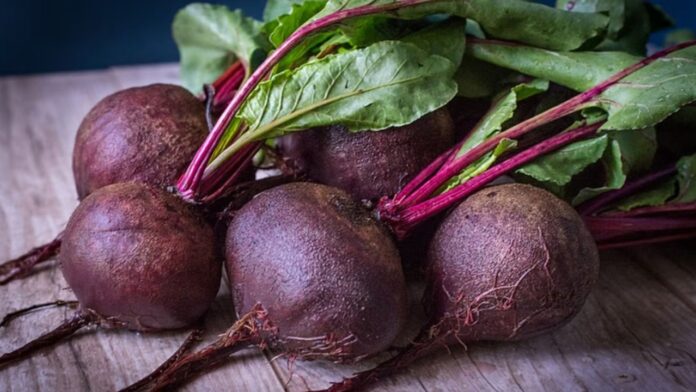 Beetroot: सेहतमंद समझकर खा रहे हैं चुकंदर? हड्डियों में कमजोरी और लीवर में सूजन, चुपके से कर सकता है बीटरूट हमला!