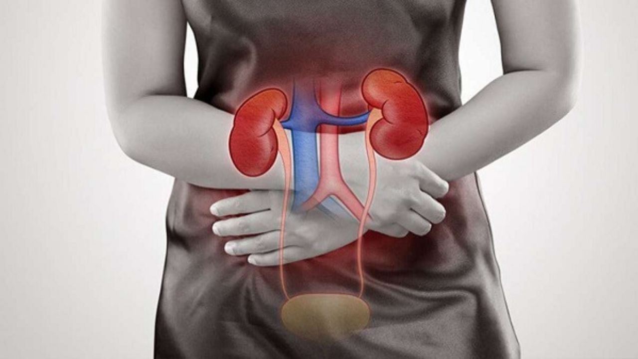 Healthy Kidney: एक टेस्ट से पता चलेगा आपकी किडनी खतरे में है या नहीं, जानिए पूरी प्रक्रिया