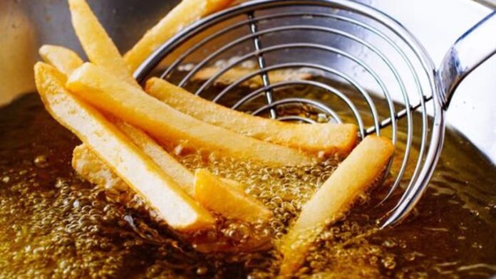 Health Tips: रोजाना के खाने में थोड़ा तेल घटाकर आप पा सकते हैं हेल्दी जीवन और कई गंभीर बीमारियों से छुटकारा