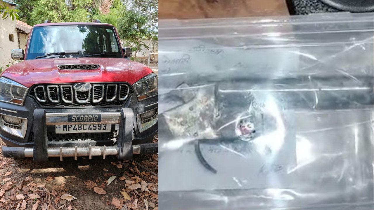 Betul News: खास सूचना पर हुई कार्रवाई, कोतवाली पुलिस ने अवैध हथियार के साथ पकड़ा आरोपी!