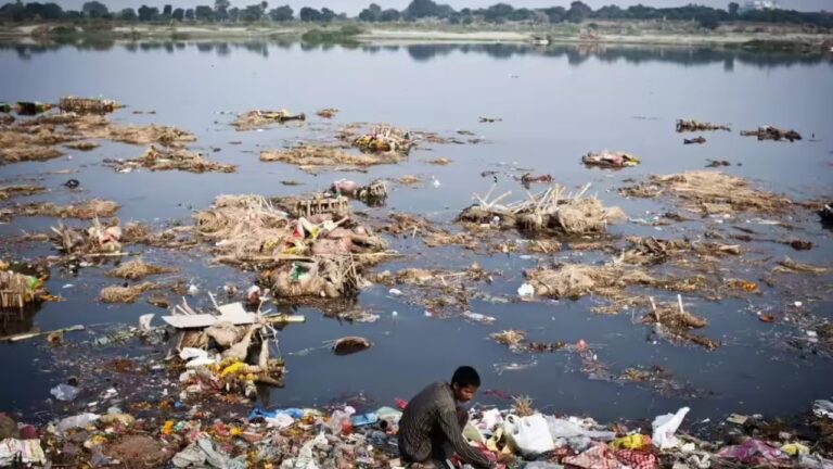 Delhi News: 4000 गुना ज़्यादा बैक्टीरिया! यमुना में डुबकी अब ख़तरे से खाली नहीं