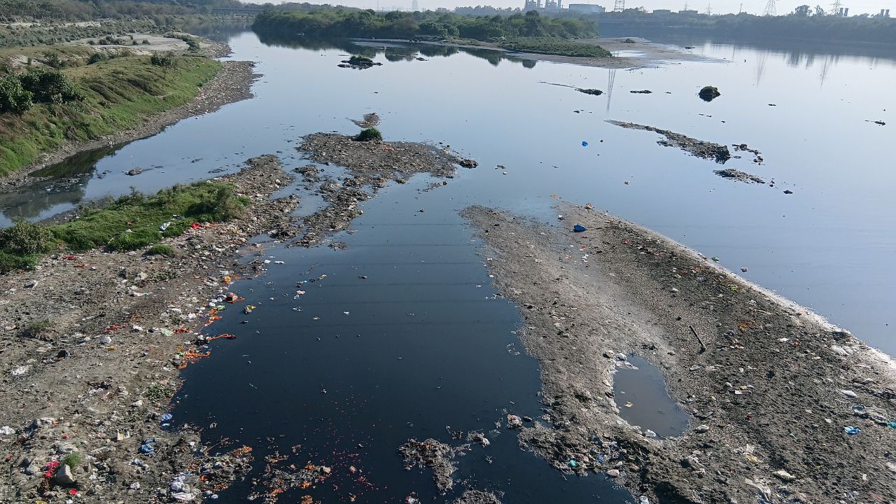 Delhi News: 4000 गुना ज़्यादा बैक्टीरिया! यमुना में डुबकी अब ख़तरे से खाली नहीं