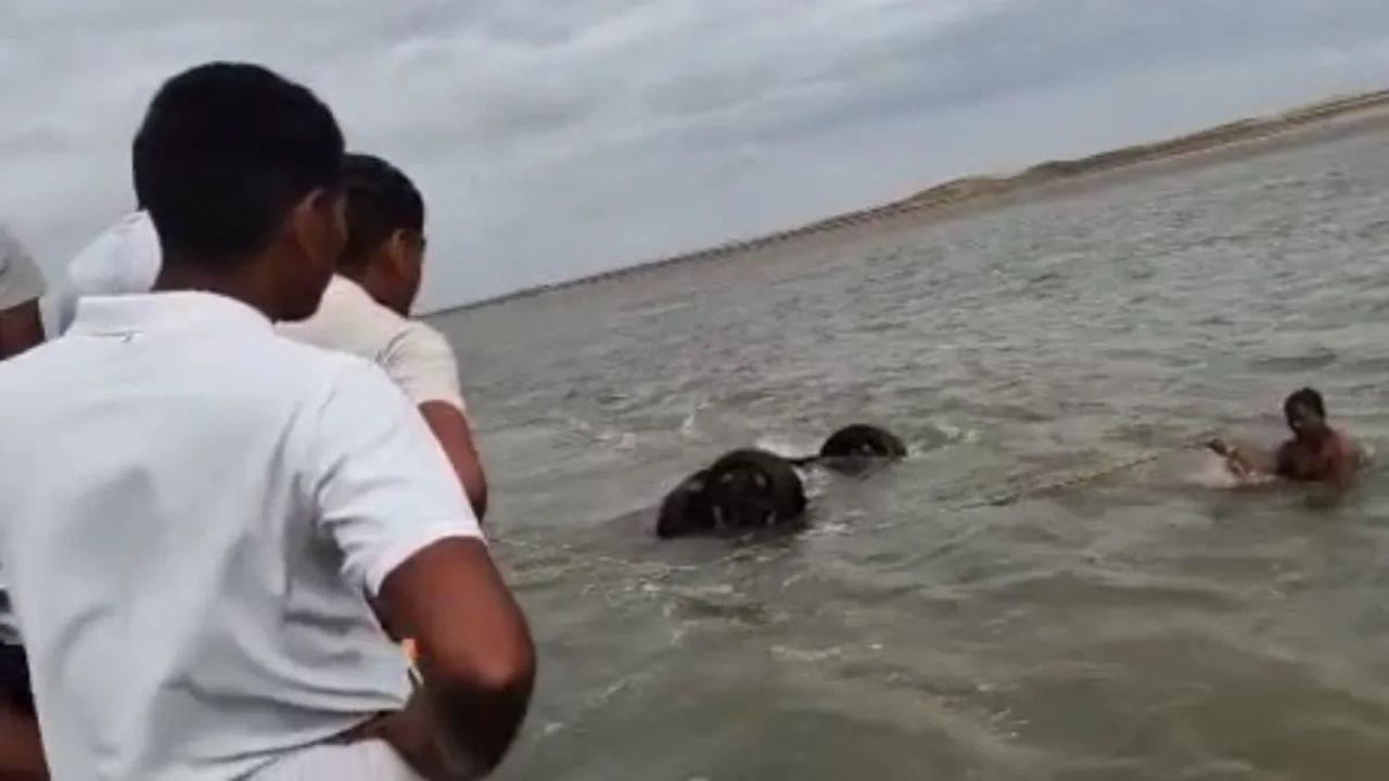 Odisha Accident: एक रिवर्स गियर और नदी में समा गई BDO की कार, पलभर में हुआ बड़ा हादसा