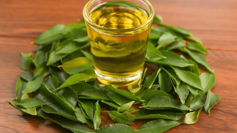 Curry leaves water: हर सुबह एक कप और मिट जाएंगी पेट की सारी बीमारियां! कढ़ी पत्ते का चमत्कारिक पानी