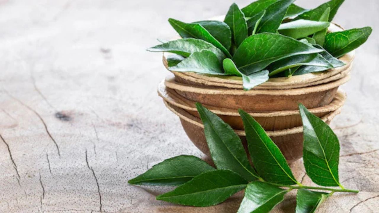 Curry leaves water: हर सुबह एक कप और मिट जाएंगी पेट की सारी बीमारियां! कढ़ी पत्ते का चमत्कारिक पानी