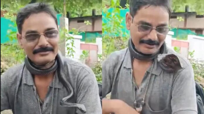MP News: सांप के साथ रील बना रहे युवक की दर्दनाक मौत, वीडियो देख कांप उठे लोग
