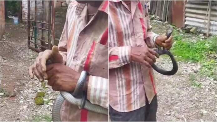 Bhopal News: भोपाल में कोबरा ने लिया बदला! सांप से खेलते हुए युवक की हालत नाज़ुक
