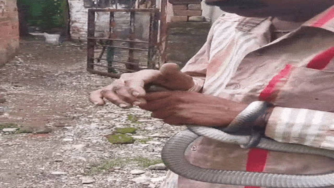 Bhopal News: भोपाल में कोबरा ने लिया बदला! सांप से खेलते हुए युवक की हालत नाज़ुक