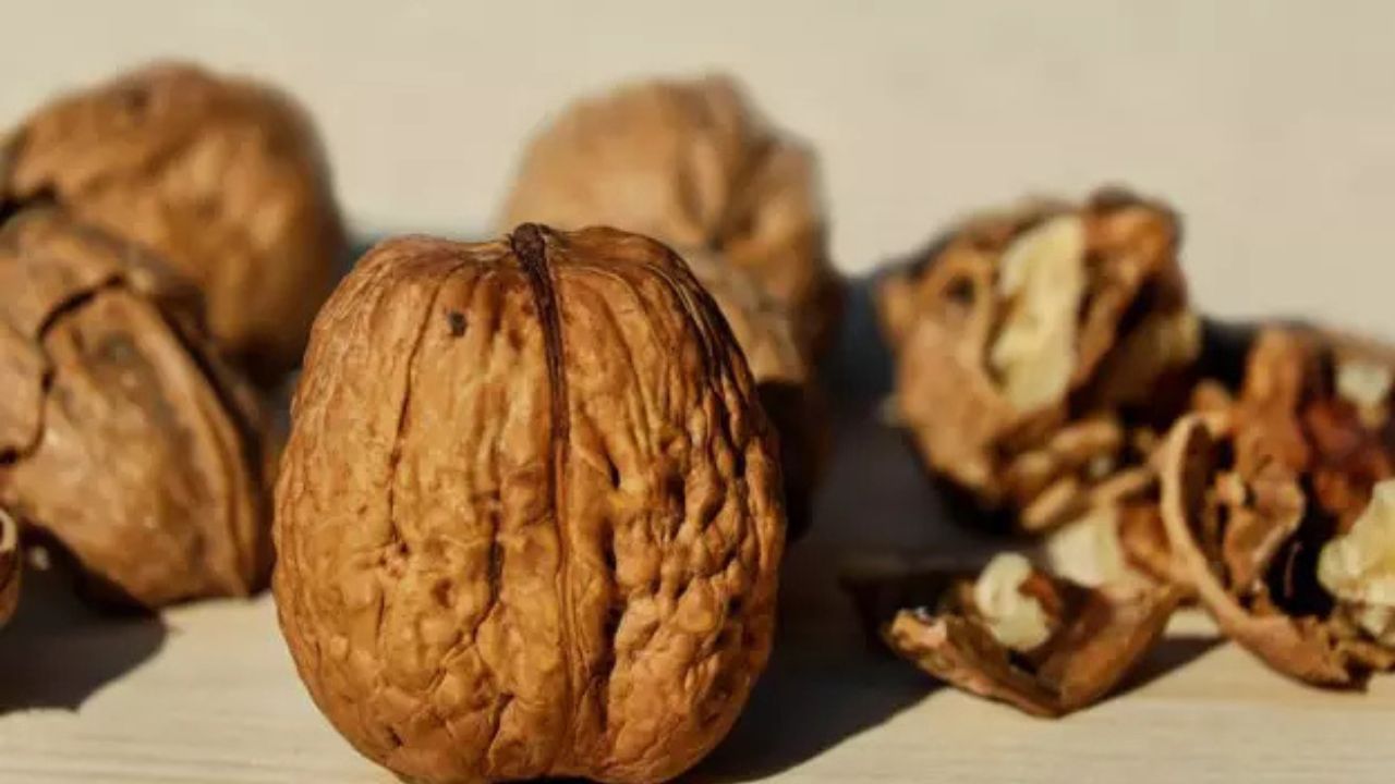 Walnut  Benefits: दिल-दिमाग को मजबूत बनाने वाला यह सुपरफूड! जानिए खाने का सही समय और तरीका