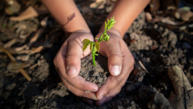 MP Plant Scam: खाद और दवा की दोहरी कीमत, बिना लाइसेंस हुई सप्लाई! RTI ने खोला भ्रष्टाचार का पिटारा