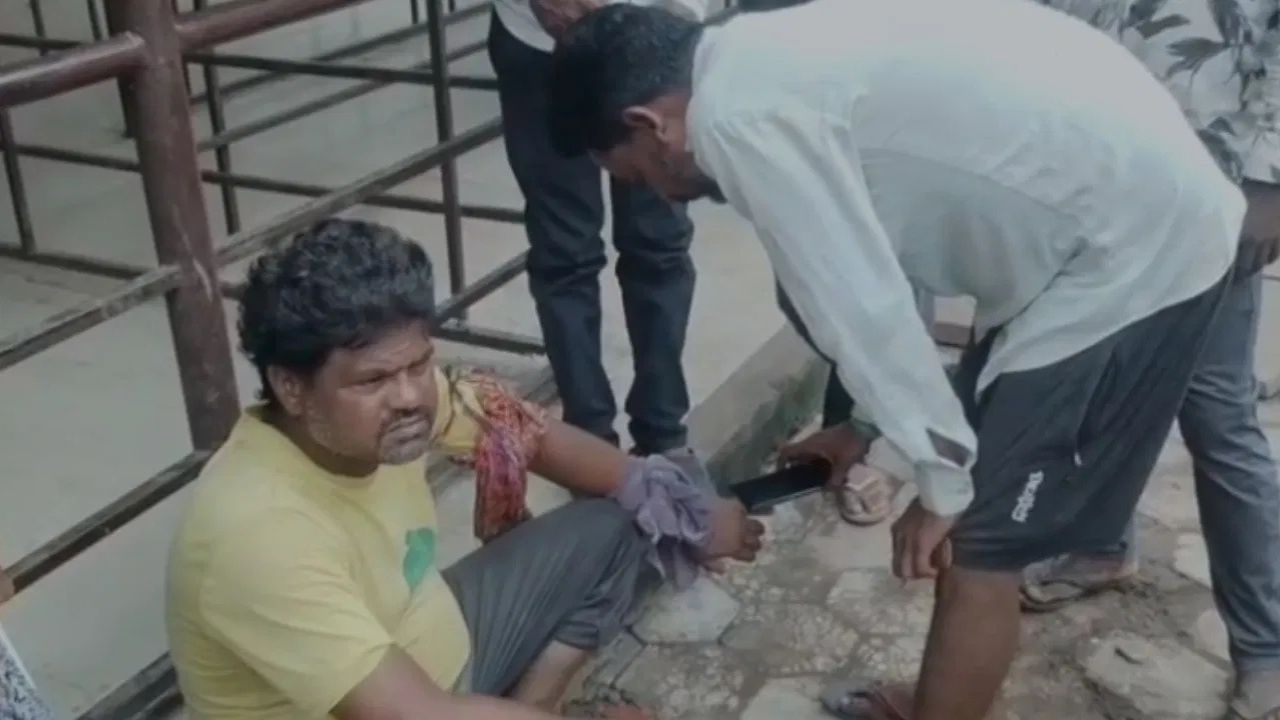 MP News: सांप के काटने पर झाड़-फूंक में फंसी जिंदगी! अंधविश्वास बन गया खतरा