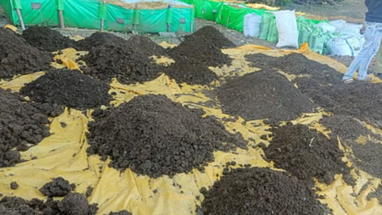 MP News: किसानों की जागरूकता से फूटा नकली खाद का भंडार! ट्रक सहित पकड़ी गई 92 बोरियां