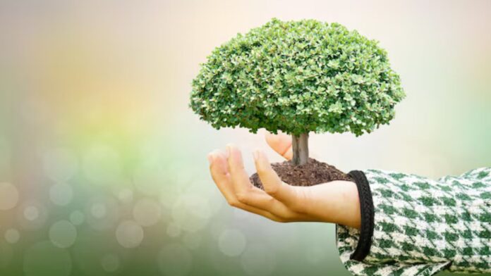 MP news: इंदौर शहर अब एक नई पहचान के साथ सामने आने जा रहा है। यहां राज्य का पहला ऑक्सीजन गार्डन बनने जा रहा है जो 11 एकड़ क्षेत्र में फैला होगा और जिसमें लाखों पौधे लगाए जाएंगे। यह गार्डन न केवल शहर की हरियाली बढ़ाएगा बल्कि लोगों को शुद्ध हवा भी प्रदान करेगा। यह पहल प्रधानमंत्री नरेंद्र मोदी के ‘एक पेड़ मां के नाम’ अभियान के अंतर्गत शुरू की गई है।