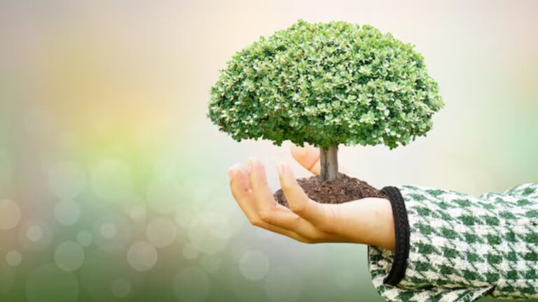 MP news: इंदौर शहर अब एक नई पहचान के साथ सामने आने जा रहा है। यहां राज्य का पहला ऑक्सीजन गार्डन बनने जा रहा है जो 11 एकड़ क्षेत्र में फैला होगा और जिसमें लाखों पौधे लगाए जाएंगे। यह गार्डन न केवल शहर की हरियाली बढ़ाएगा बल्कि लोगों को शुद्ध हवा भी प्रदान करेगा। यह पहल प्रधानमंत्री नरेंद्र मोदी के ‘एक पेड़ मां के नाम’ अभियान के अंतर्गत शुरू की गई है।