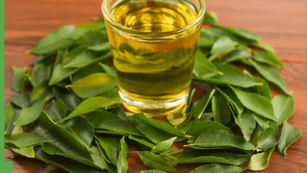 Curry leaves water:बदलते मौसम में सर्दी, खांसी और वायरल का खतरा बढ़ जाता है और इसकी सबसे बड़ी वजह होती है कमजोर इम्युनिटी। ऐसे में अगर आप भी अपनी प्रतिरोधक क्षमता को मजबूत करना चाहते हैं तो करी पत्ते का पानी आपके लिए चमत्कारी इलाज साबित हो सकता है। यह नेचुरल ड्रिंक न सिर्फ आपकी इम्युनिटी को बूस्ट करता है बल्कि पूरे शरीर को स्वस्थ बनाए रखने में मदद करता है।