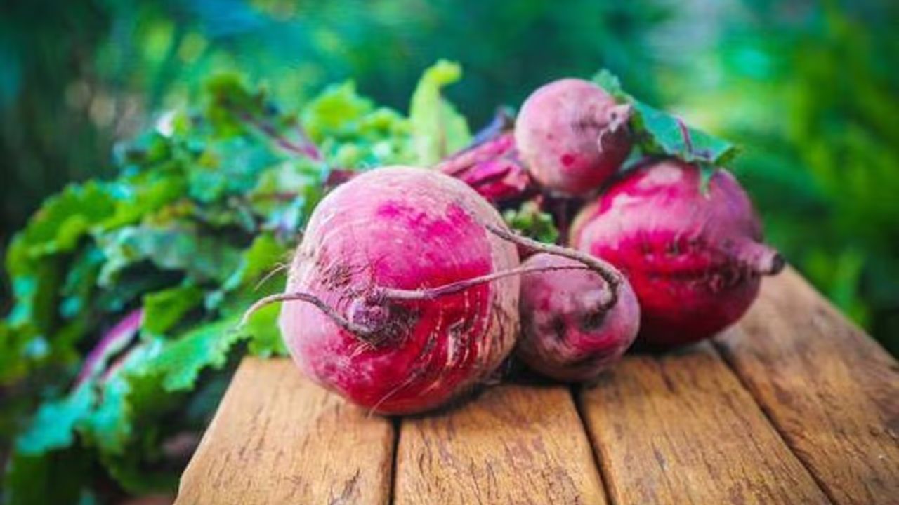 Beetroot Benefits: चुकंदर में छिपे हैं शक्तिशाली सीक्रेट तत्व, शरीर में एनर्जी बढ़ाएगा ये सस्ता सुपरफूड!