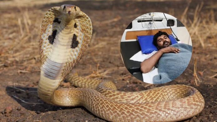 MP news: उज्जैन से दर्दनाक हादसा! मोबाइल देखते समय बिस्तर में छुपे सांप ने डसा, बच्ची की मौत