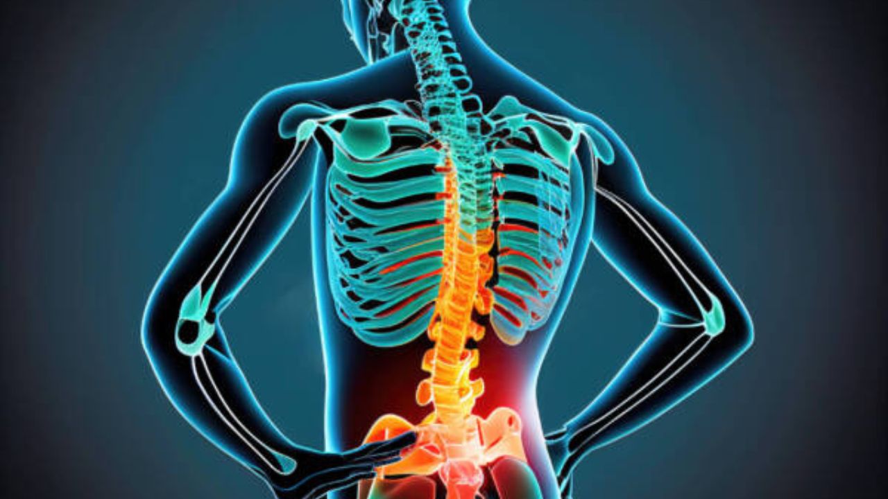 Office Chair Syndrome: लंबे समय तक बैठने की गंभीर समस्या! कैसे बचें ऑफिस चेयर सिंड्रोम से? डॉक्टरों की 5 आसान सलाह