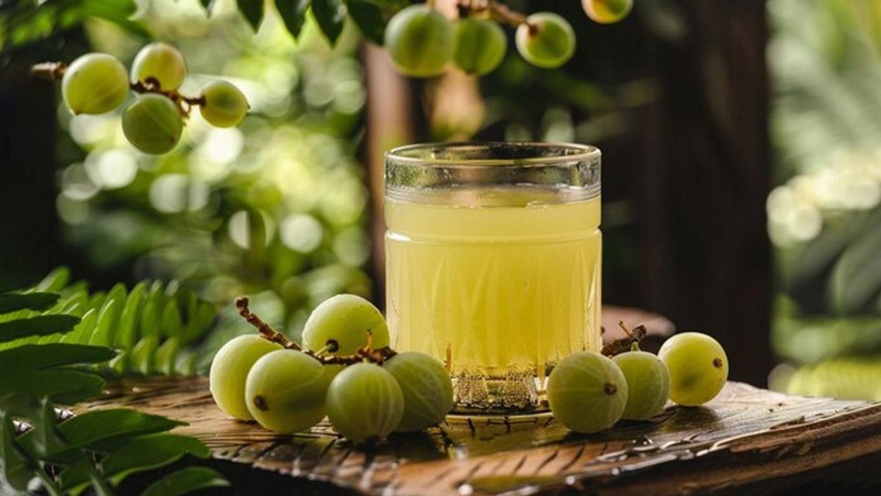 Amla water: वज़न घटाना अब हुआ आसान, सुबह-सुबह पीजिए आंवला पानी और देखिए फर्क