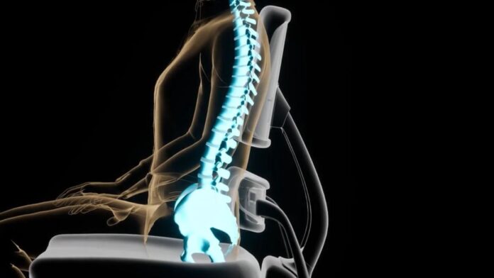 Office Chair Syndrome: लंबे समय तक बैठने की गंभीर समस्या! कैसे बचें ऑफिस चेयर सिंड्रोम से? डॉक्टरों की 5 आसान सलाह