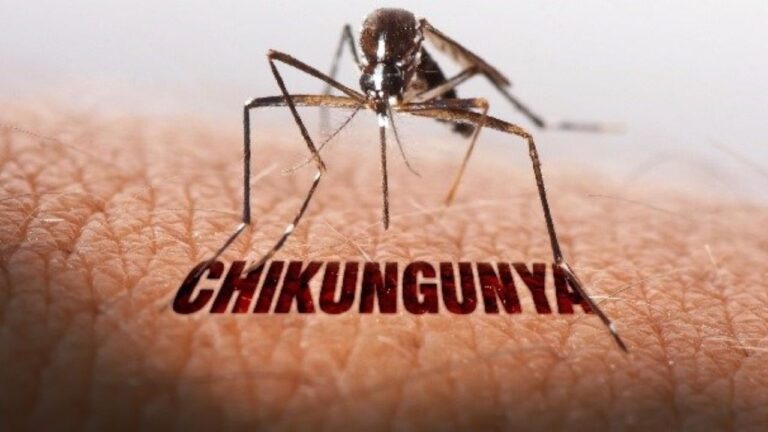 Chikungunya: मच्छरों से फैलने वाली बीमारी जो जोड़ो में लाती है दर्द! जानिए इसके कारण और बचाव