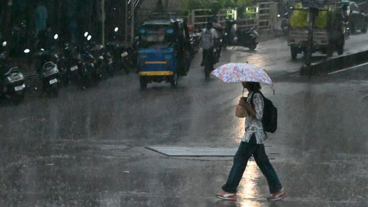 MP Weather: ग्वालियर से छतरपुर तक पानी ही पानी! अगले 24 घंटे बना सकते हैं बाढ़ का खतरा