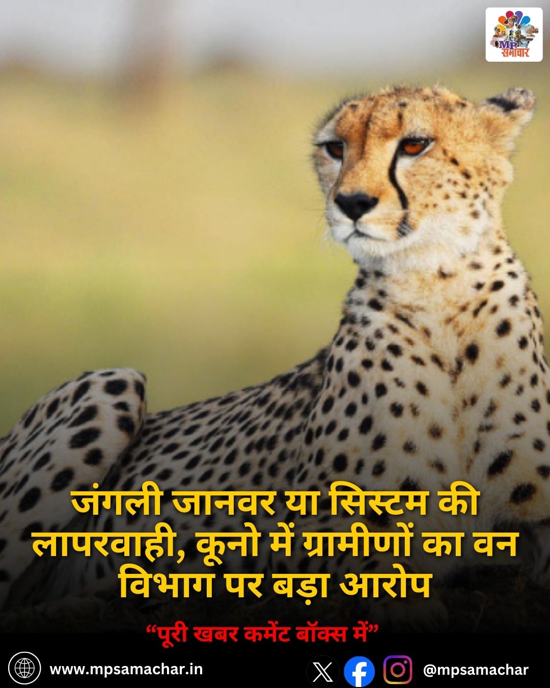 MP News: जंगली जानवर या सिस्टम की लापरवाही, कूनो में ग्रामीणों का वन विभाग पर बड़ा आरोप