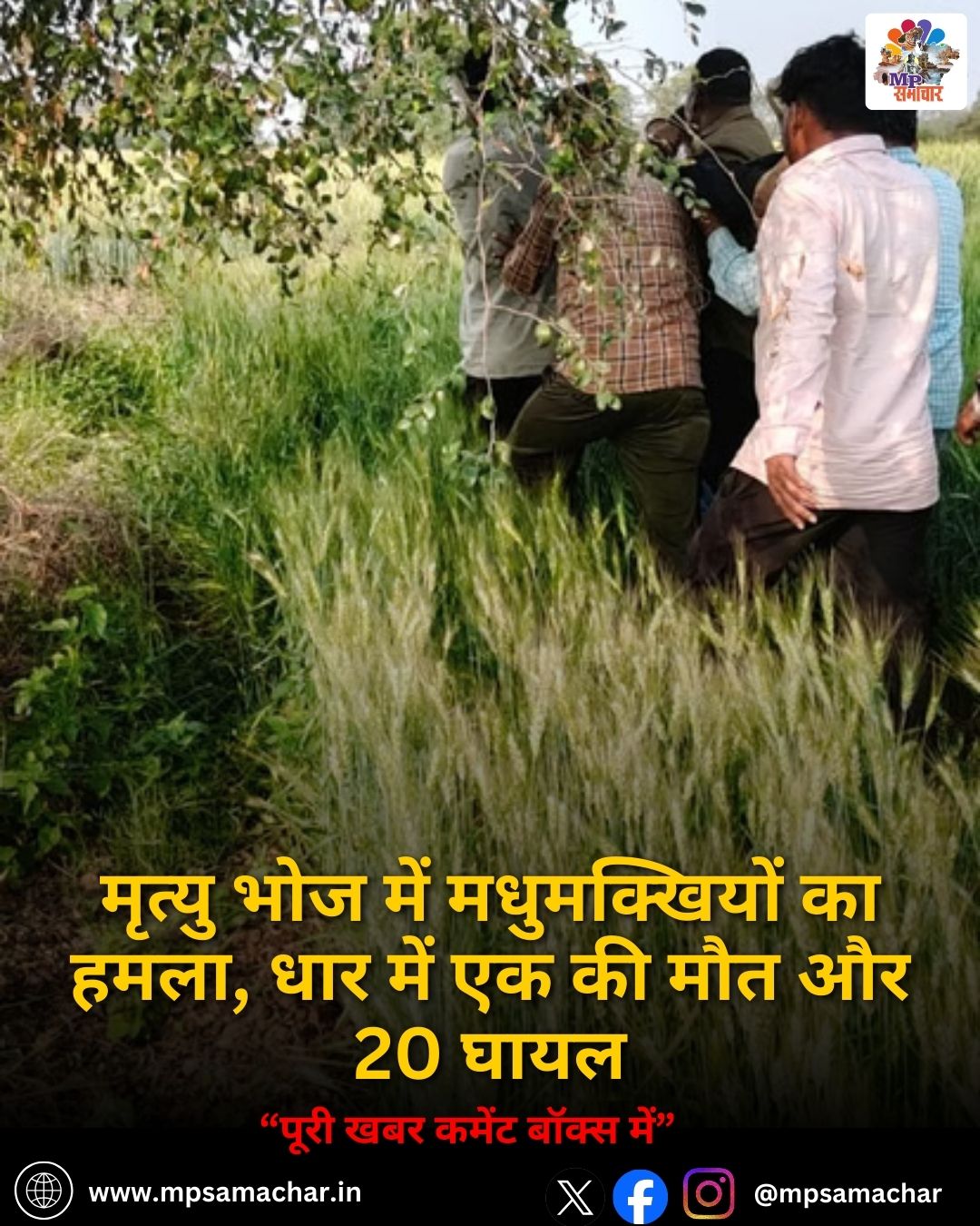 MP News: मृत्यु भोज में मधुमक्खियों का हमला, धार में एक की मौत और 20 घायल