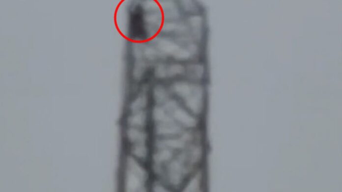 MP News: इंदौर में 400 केवी टॉवर पर चढ़ी युवती, पढ़ाई रोकने पर किया निडर विरोध