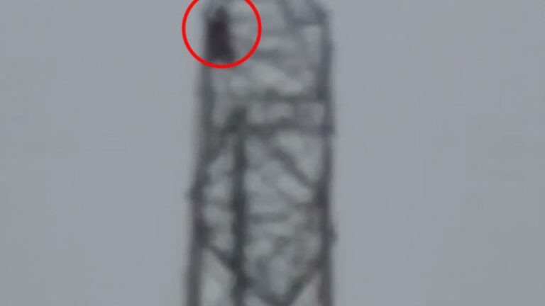 MP News: इंदौर में 400 केवी टॉवर पर चढ़ी युवती, पढ़ाई रोकने पर किया निडर विरोध