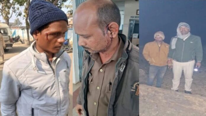 MP News: शहडोल के अमझोर वन रेंज में अवैध लकड़ी पकड़ने गई टीम पर हिंसक हमला