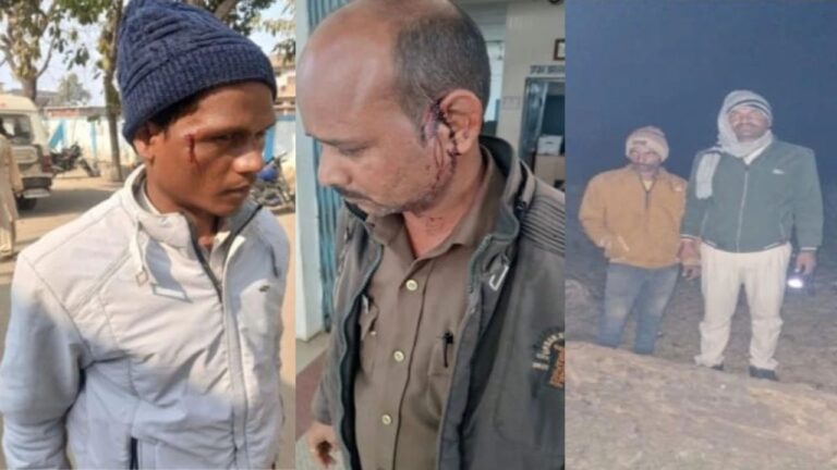 MP News: शहडोल के अमझोर वन रेंज में अवैध लकड़ी पकड़ने गई टीम पर हिंसक हमला