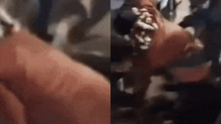 MP News: छतरपुर में स्वागत जुलूस के बीच नाले में गिरे बीजेपी जिला उपाध्यक्ष का वीडियो वायरल