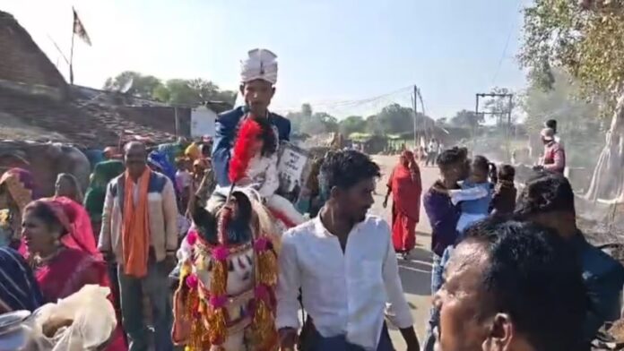 MP News: दमोह में दलित दूल्हे ने घोड़े पर लेकर निकाली बारात, संविधान की प्रति से दिया संदेश