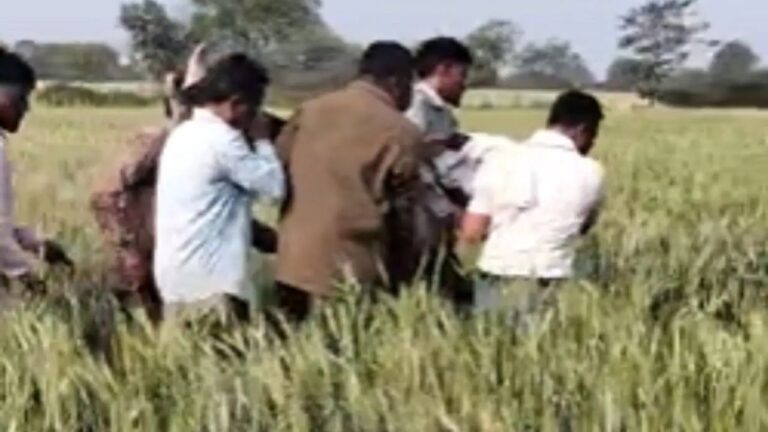 MP News: मृत्यु भोज में मधुमक्खियों का हमला, धार में एक की मौत और 20 घायल