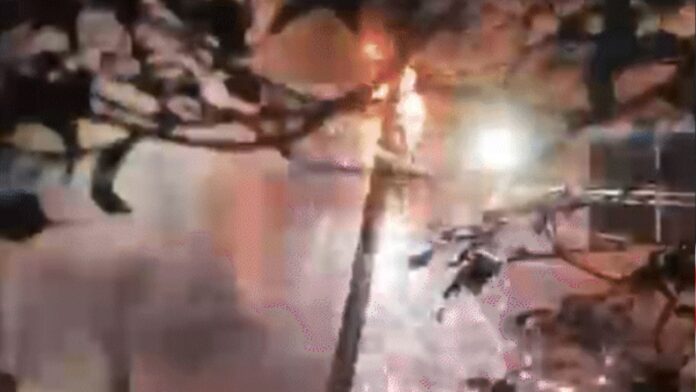 MP News: इलेक्ट्रिक वाहन की बैटरी ओवरचार्ज से भयंकर आग, आठ की मौत का खुलासा