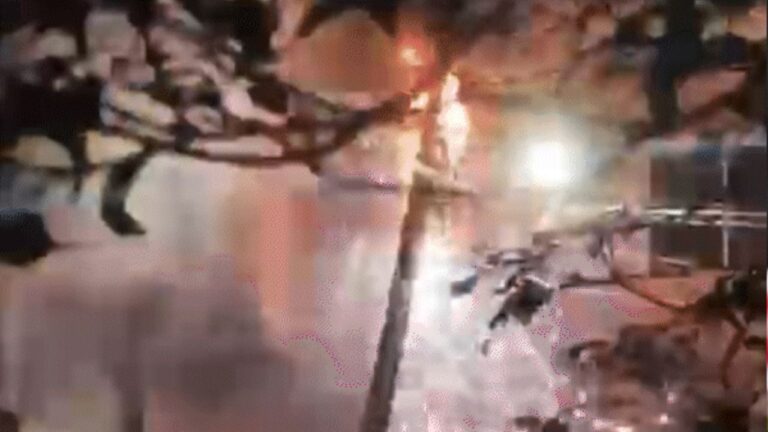 MP News: इलेक्ट्रिक वाहन की बैटरी ओवरचार्ज से भयंकर आग, आठ की मौत का खुलासा