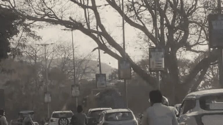 MP News: मध्य प्रदेश में अगले चार दिनों में तूफान और बारिश की चेतावनी, गर्मी से राहत मिलेगी