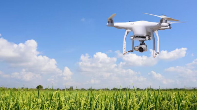 MP News: भोपाल में खेतों की जगह कॉलोनियों ने उगाई अवैध फसल, प्रशासन की चिंता बढ़ी