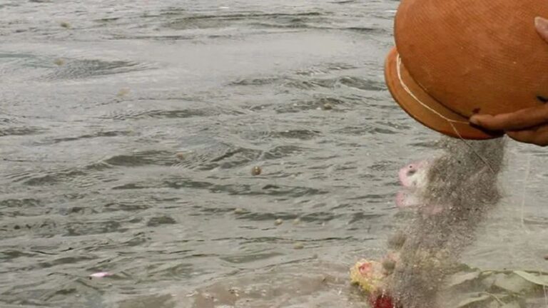 MP News: इंदौर मुक्तिधाम में बुजुर्ग की अस्थियां गायब, टोकन सिस्टम में गंभीर गड़बड़ी