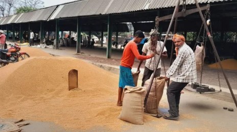 2585 रुपये MSP के बावजूद किसान परेशान जानिए क्यों नहीं मिल रहा सही दाम