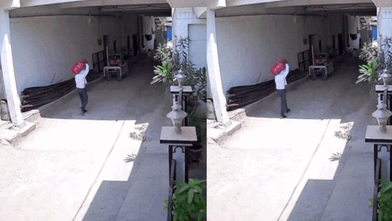 MP News: रीवा में दिनदहाड़े नकाबपोश चोर ने गैस सिलेंडर चोरी कर मचाई सनसनी