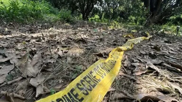MP News: झूठ बोलकर ले गए जंगल, तीन युवकों ने किया दिल दहला देने वाला अपराध