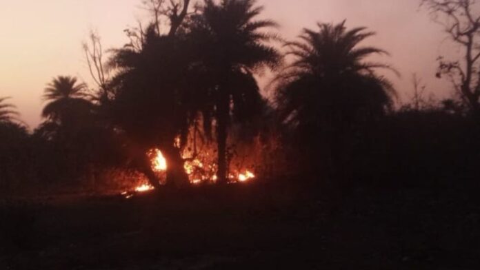 MP News: ओरछा के जंगलों में भड़की भीषण आग, रातभर आसमान में दिखीं डरावनी लपटें