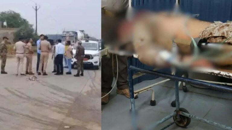 MP News: मुरैना में रेत माफियाओं का आतंक वन आरक्षक को ट्रैक्टर से कुचलकर फरार आरोपी