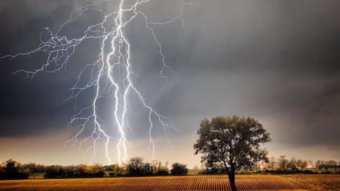 MP Weather: भिंड आपदा अपडेट आकाशीय बिजली और आंधी से गांवों में मातम का माहौल