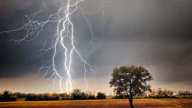 MP Weather: भिंड आपदा अपडेट आकाशीय बिजली और आंधी से गांवों में मातम का माहौल
