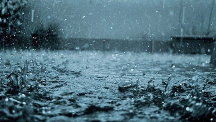 MP Weather: धार-बड़वानी में भारी बारिश का अलर्ट, मौसम विभाग ने किया आगाह